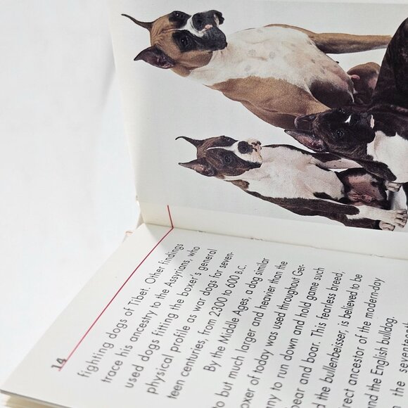 Boxers Miniature Book By Julie Mars Andrews & McMeel Gift Book - Picture 7 of 8